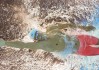 世界登山志愿救援网络：山区安全响应效率提升，中国登山协会山地救援